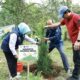Unair