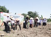 Sinergi Polri dan Santri: Penanaman Jagung Serentak Dorong Ketahanan Pangan Nasional
