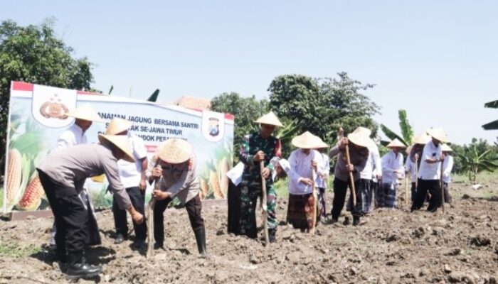 Sinergi Polri dan Santri: Penanaman Jagung Serentak Dorong Ketahanan Pangan Nasional
