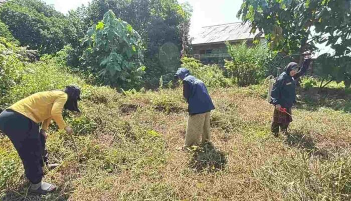 UNAIR dan Tim Ekspedisi Patriot Siapkan Lahan Produktif, Perkuat Ekonomi Keluarga Kader di Papua Barat