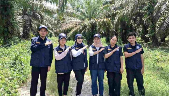 Tim Ekspedisi Patriot UNAIR Manfaatkan Pelepah Sawit Jadi Pakan Sapi