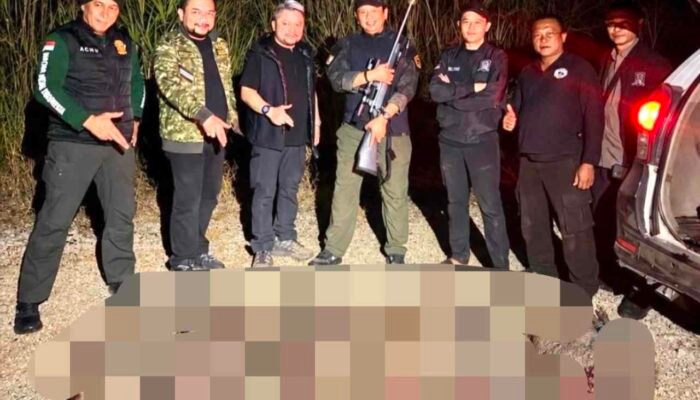 Serangan Babi Hutan Rusak Lahan Pertanian Lebak, Bamsoet Dorong Pengendalian Populasi Berbasis Data