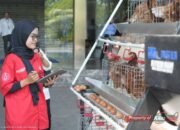 Futechi Farm Karya Mahasiswa ITS Terjual Rp 105 Juta, Bidik Peternakan Modern
