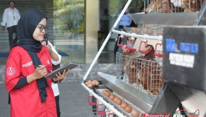 Futechi Farm Karya Mahasiswa ITS Terjual Rp 105 Juta, Bidik Peternakan Modern