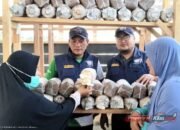 UNAIR Latih Warga Manokwari Olah Limbah Sawit Jadi Media Tanam Jamur Tiram